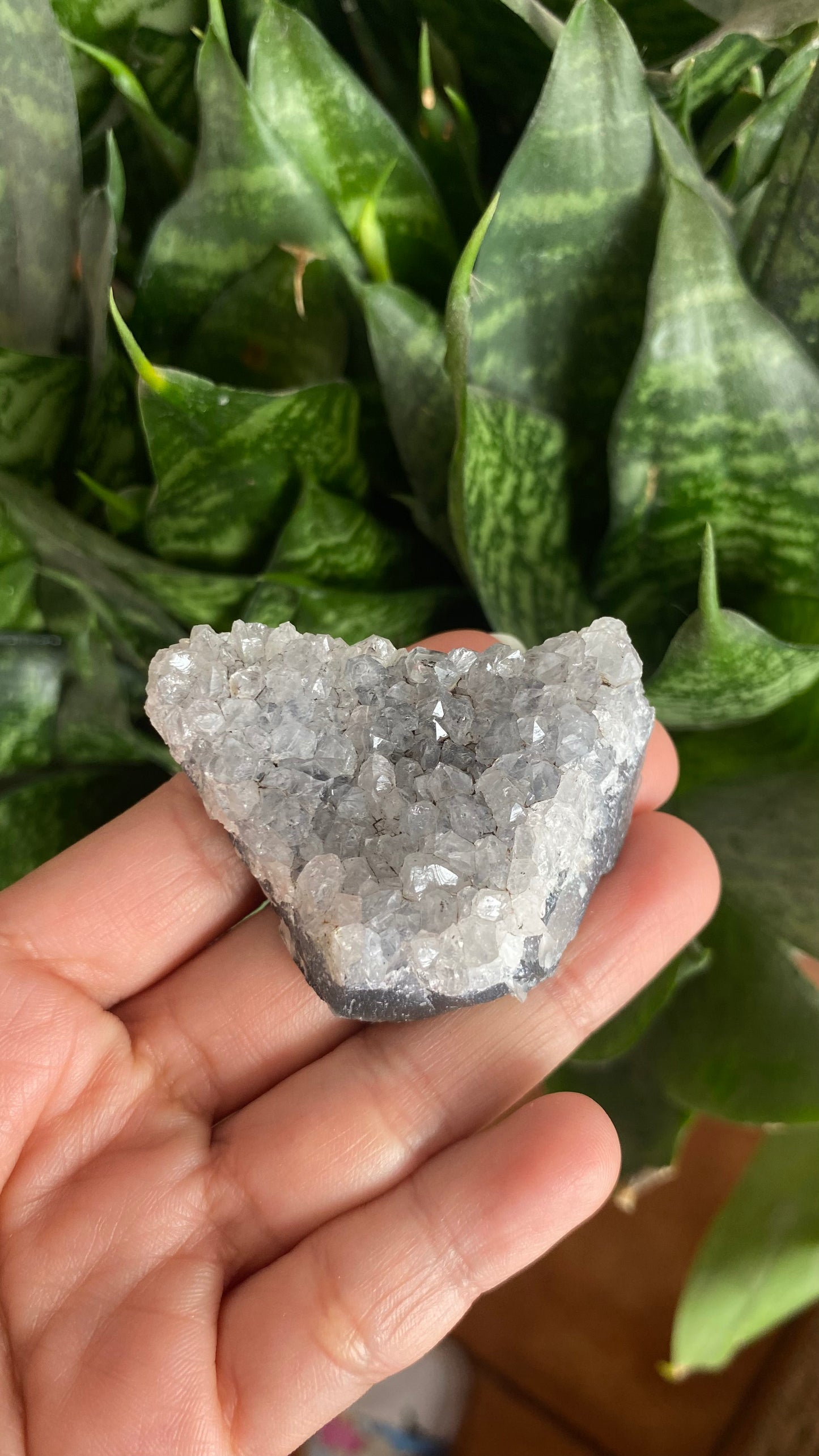 Drusa de Amatista especial