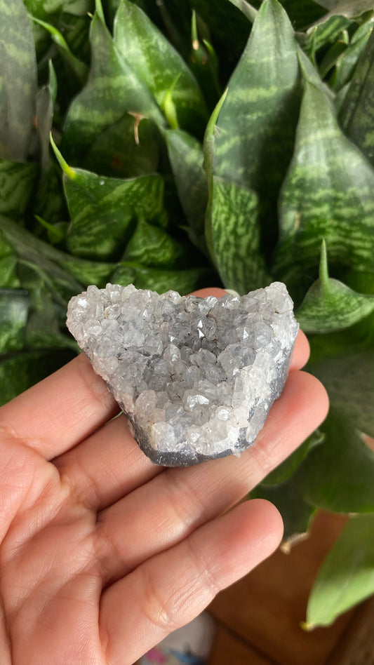 Drusa de Amatista especial