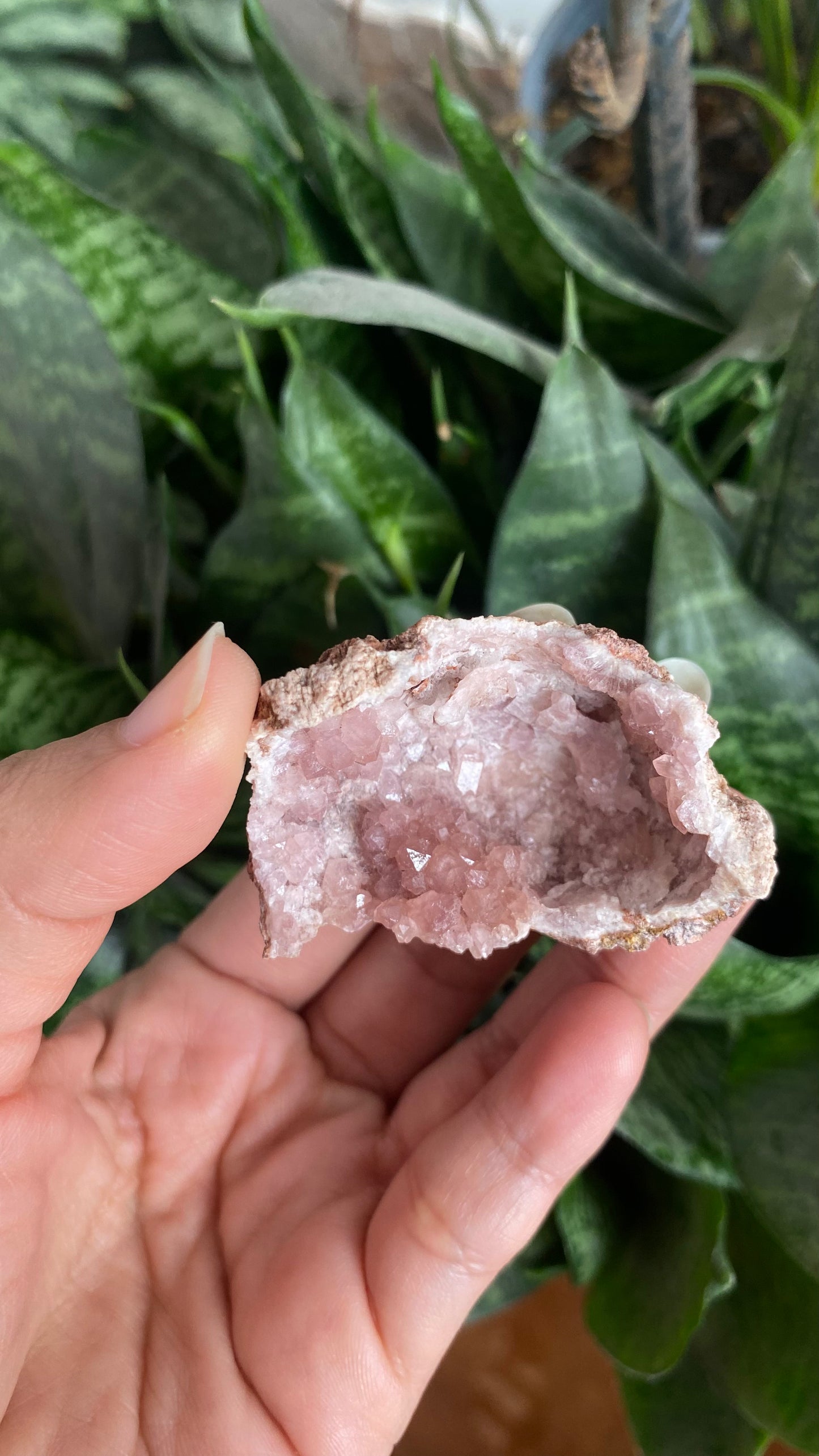 Geoda de cuarzo rosa